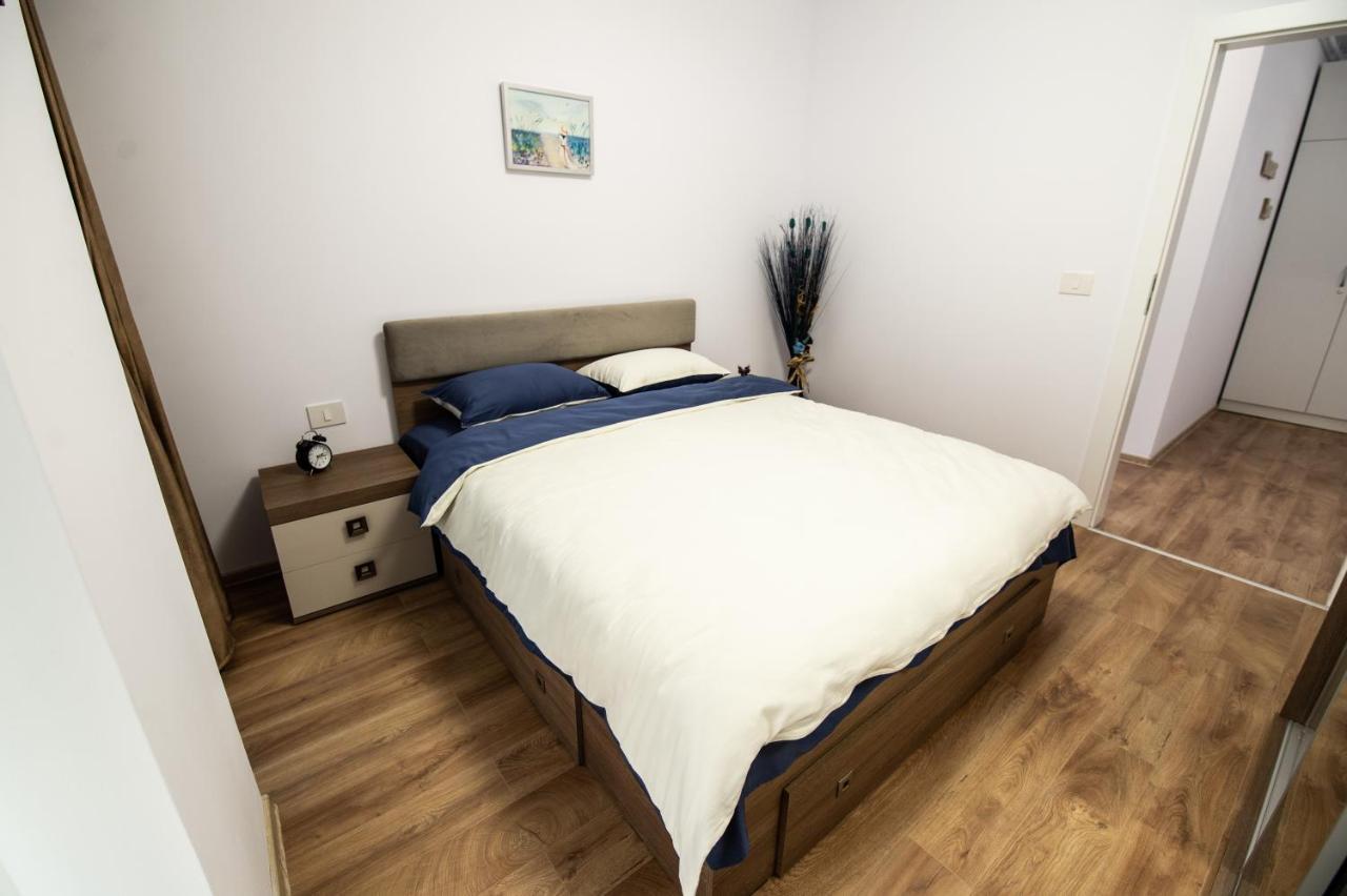Claseb Apartment Timisoara Esterno foto
