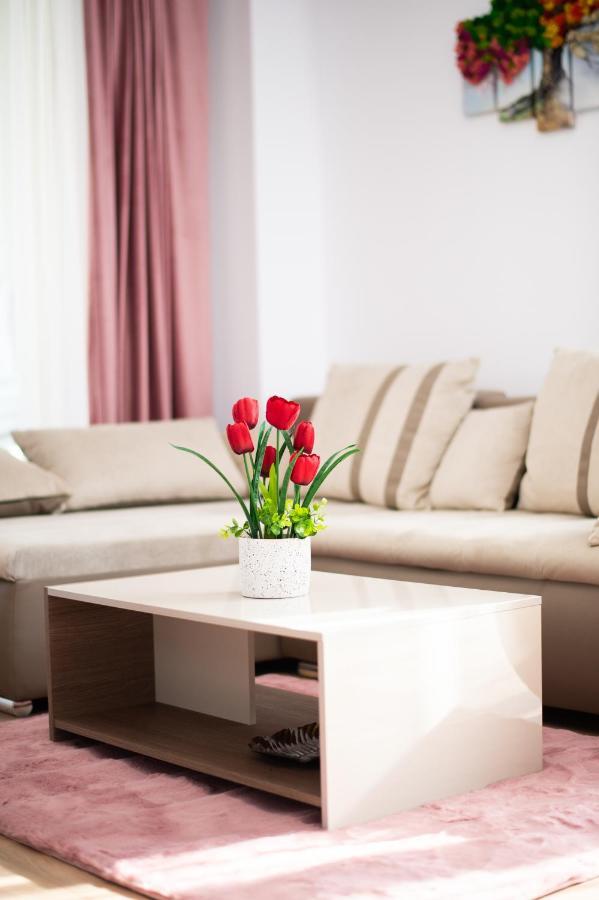 Claseb Apartment Timisoara Esterno foto